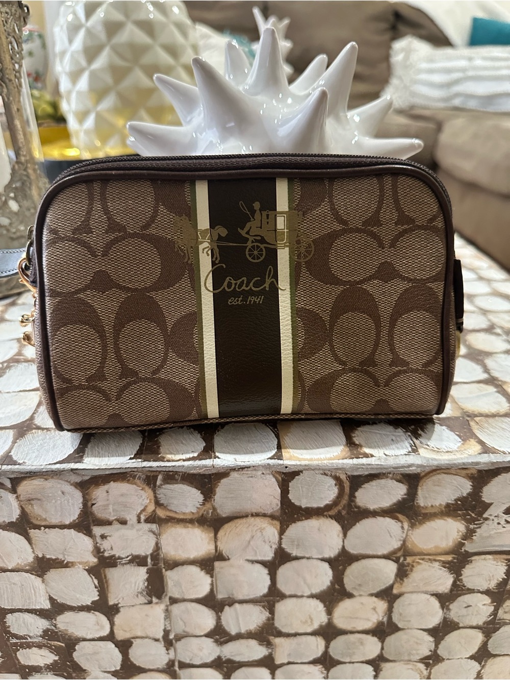 Coach women Signature Canvas Toiletry Pouch in Brown with Stripe